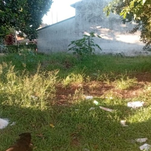 3a78e30d-c5e8-4167-acaa-2b6c882b2140