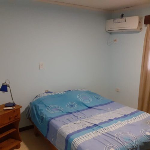 3bd50de9-9162-446d-8d51-42ff149356c4