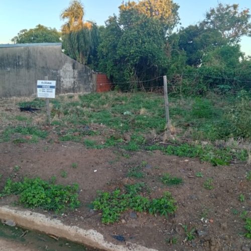 IMG-20260408-WA0018-1