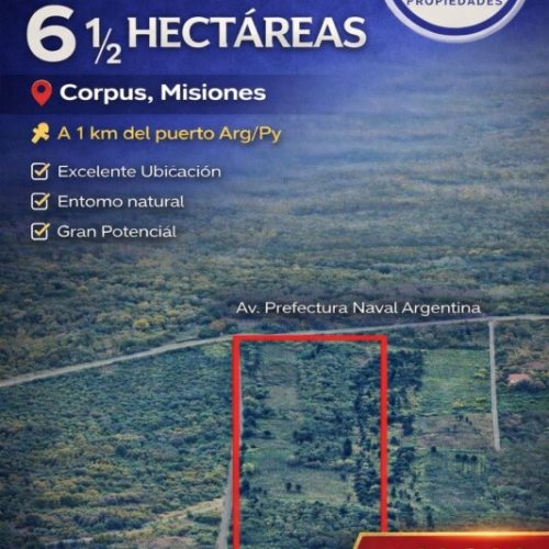 IMG-20260409-WA0010-2