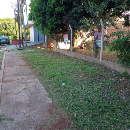 IMG-20260516-WA0004