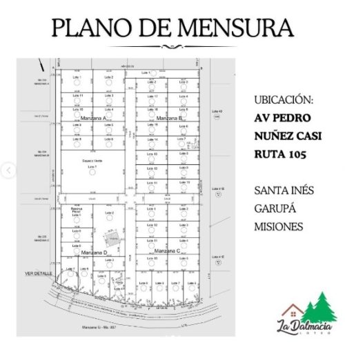 La-dalmacia-plano