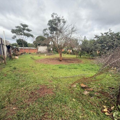 WhatsApp-Image-2025-08-25-at-11.21.34-AM-1