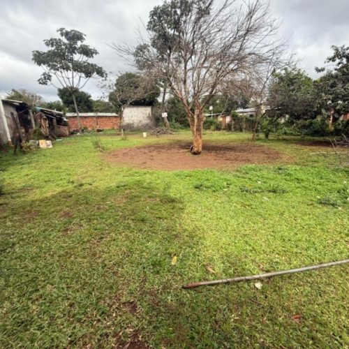 WhatsApp-Image-2025-08-25-at-11.21.34-AM