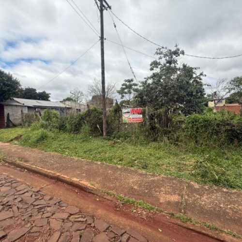 WhatsApp-Image-2025-08-25-at-11.21.35-AM