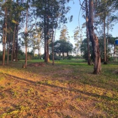 WhatsApp-Image-2025-08-25-at-3.55.49-PM-2