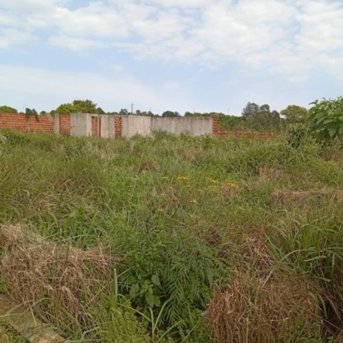 WhatsApp-Image-2025-08-31-at-8.12.49-PM