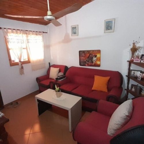 WhatsApp-Image-2025-09-01-at-2.19.45-PM