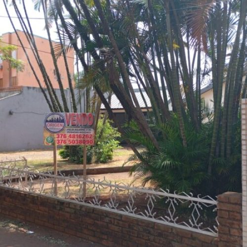 WhatsApp-Image-2025-11-14-at-13.26.27