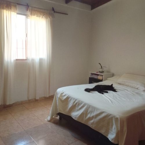 c7e6eeb0-35fa-4c72-9e6d-1047b86a4e0f