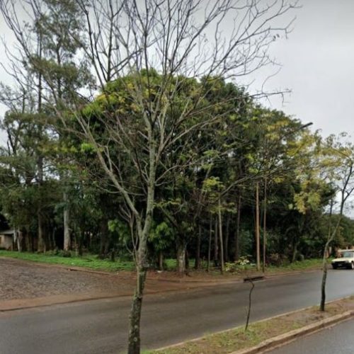 terreno-san-martin-esquina-1