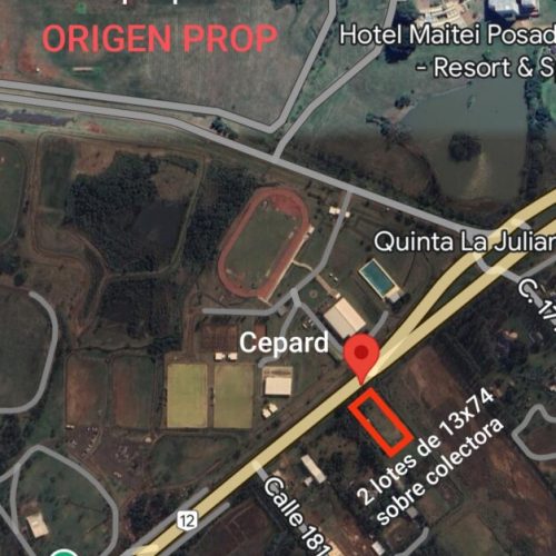 terreno-sobre-ruta-cepard-2